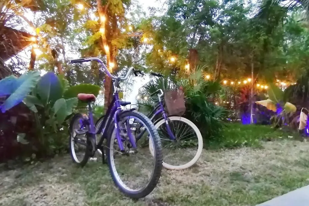 Dk31 Wifi 600Mb, Cheap Scooters By Moikkarentals Tulum México